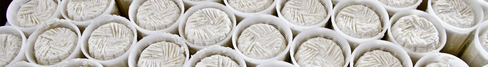 Ricotta cheese